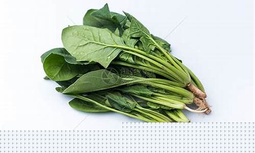 菠菜LOL游戏详细介