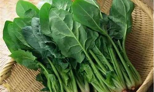 菠菜送彩金平台:线上