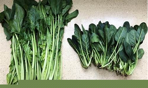 LOL菠菜在哪买:详