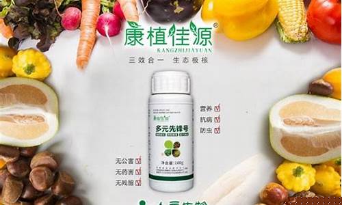 菠菜广告投放平台:菠