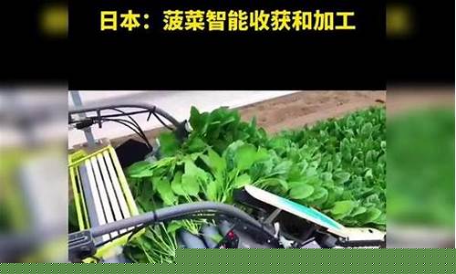 008白菜网:菠菜信