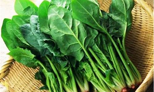 菠菜信誉大平台:线上