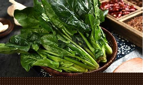 LOL菠菜网的全面介