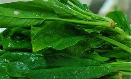 最新新2管理端:最新
