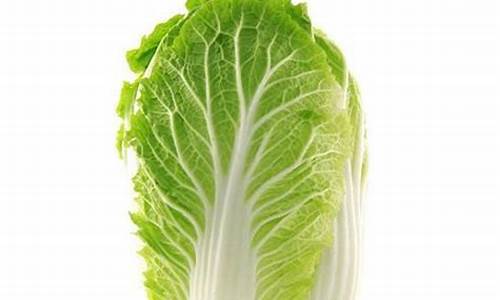 最全菠菜导航网:菠菜