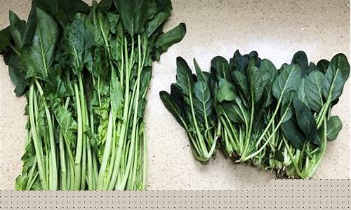 LOL菠菜在哪买?