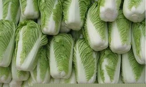 当谈及菠菜(LOL游
