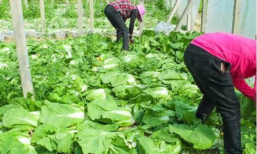 新2会员注册地址:菠