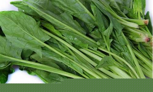 菠菜信息大全：LOL