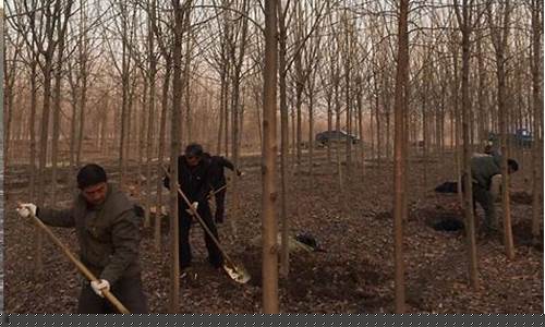 菠菜信誉担保网LOL